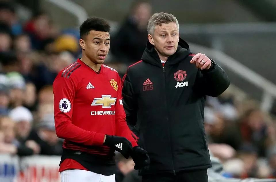 选手们在场 选手们在场